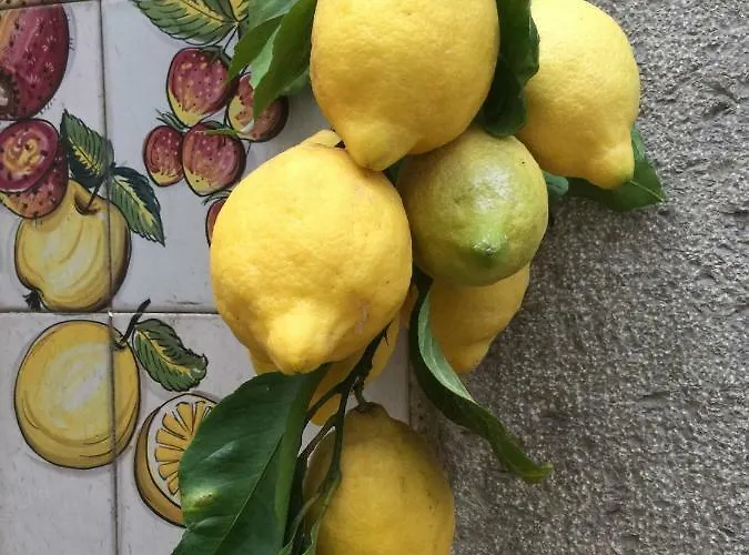 Vakantiehuis Casa Regina Vietri